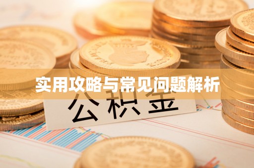 逊克实用攻略与常见问题解析