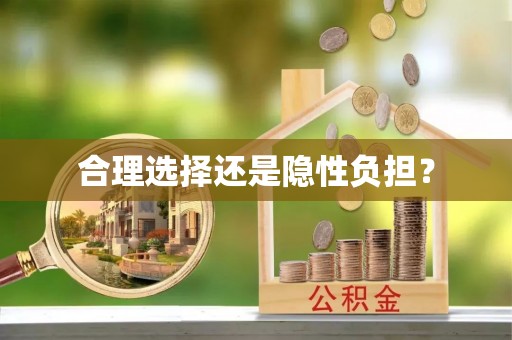 逊克合理选择还是隐性负担？