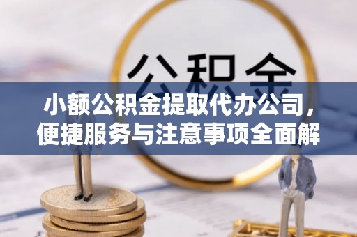 逊克小额公积金提取代办公司，便捷服务与注意事项全面解析