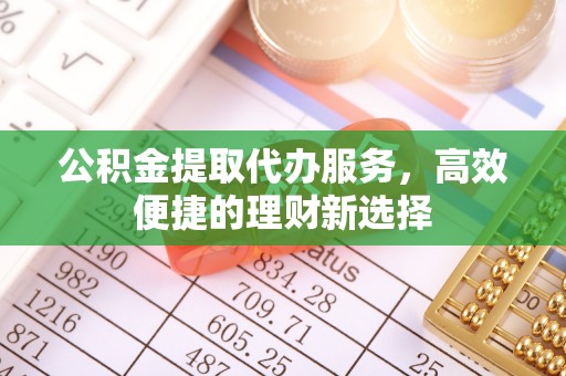 逊克公积金提取代办服务，高效便捷的理财新选择