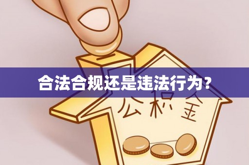 逊克合法合规还是违法行为？