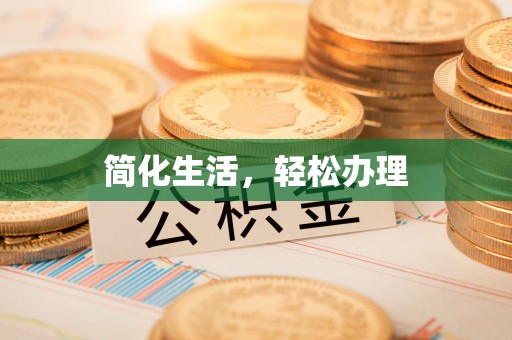 逊克简化生活，轻松办理