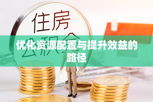 逊克优化资源配置与提升效益的路径