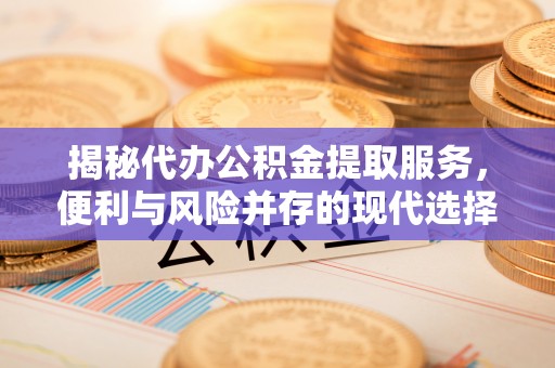 逊克揭秘代办公积金提取服务，便利与风险并存的现代选择