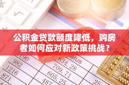 逊克公积金贷款额度降低，购房者如何应对新政策挑战？