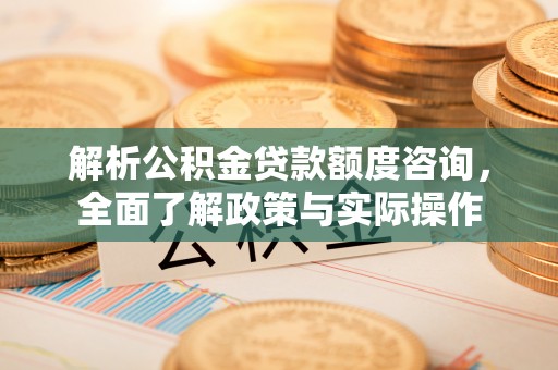 逊克解析公积金贷款额度咨询，全面了解政策与实际操作