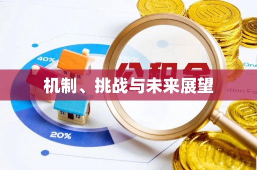 逊克机制、挑战与未来展望