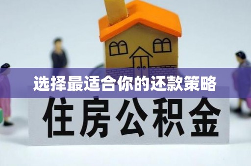 逊克选择最适合你的还款策略