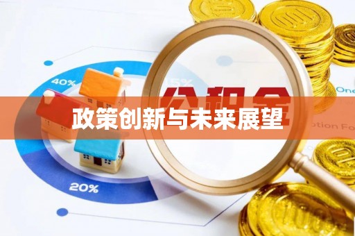 逊克政策创新与未来展望