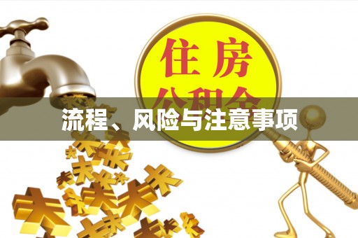 逊克流程、风险与注意事项