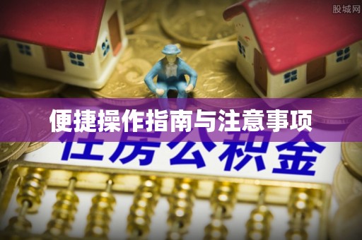 逊克便捷操作指南与注意事项